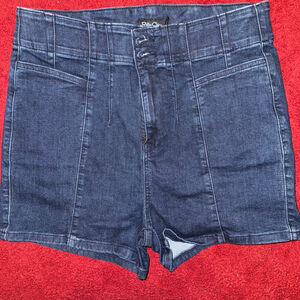 Torrid Retro Chic Blue Jean Shorts Size 14